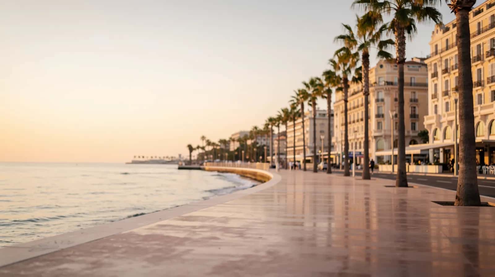 Croisette de Cannes au petit matin, palmiers et façades d'hôtels